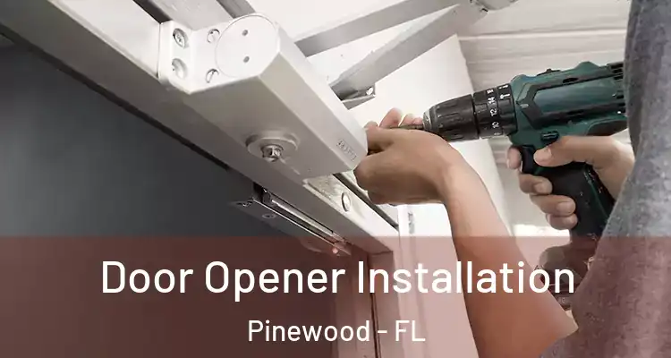  Door Opener Installation Pinewood - FL