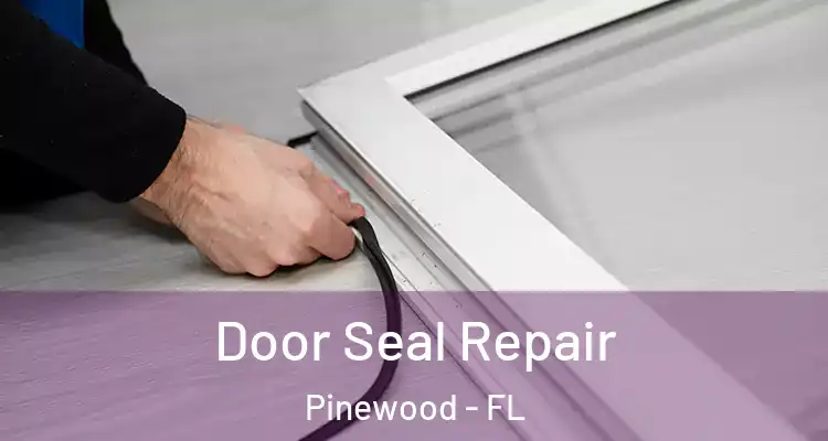  Door Seal Repair Pinewood - FL