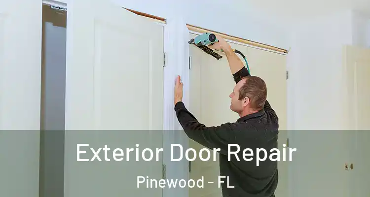  Exterior Door Repair Pinewood - FL
