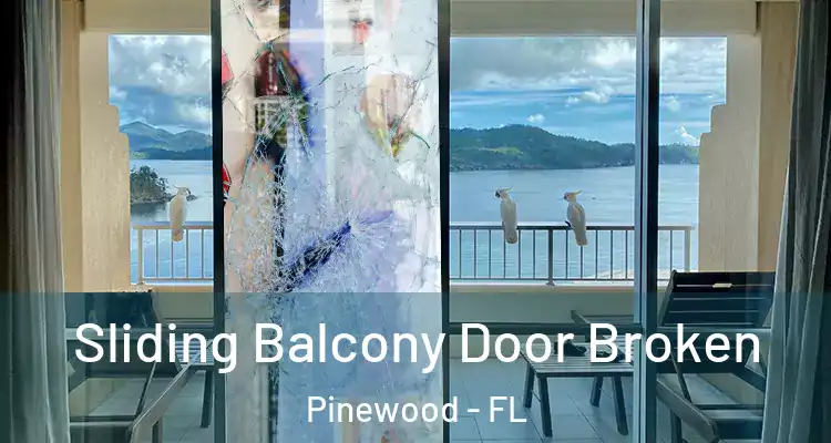  Sliding Balcony Door Broken Pinewood - FL